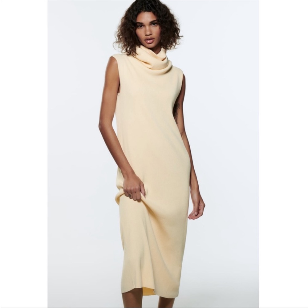 Zara Sleeveless Knit Dress